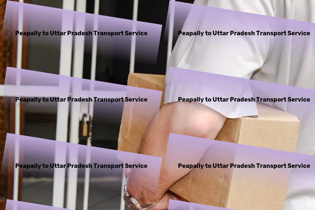 Peapally to Uttar Pradesh Luggage Courier Perfecting the art of seamless deliveries throughout India! - Customized freight and logistics