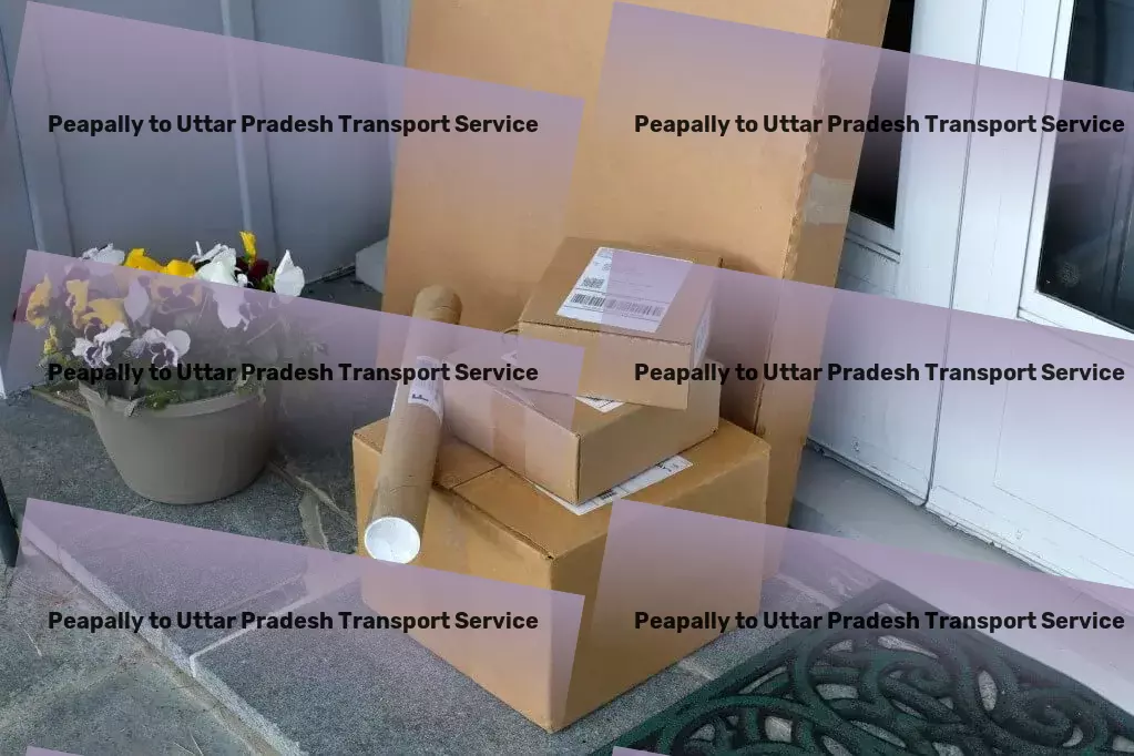 Peapally to Uttar Pradesh Luggage Courier Large-scale transport services