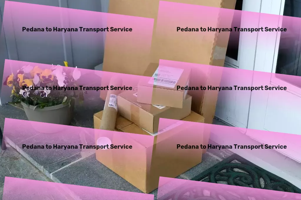 Pedana to Haryana Transport Specialized courier solutions